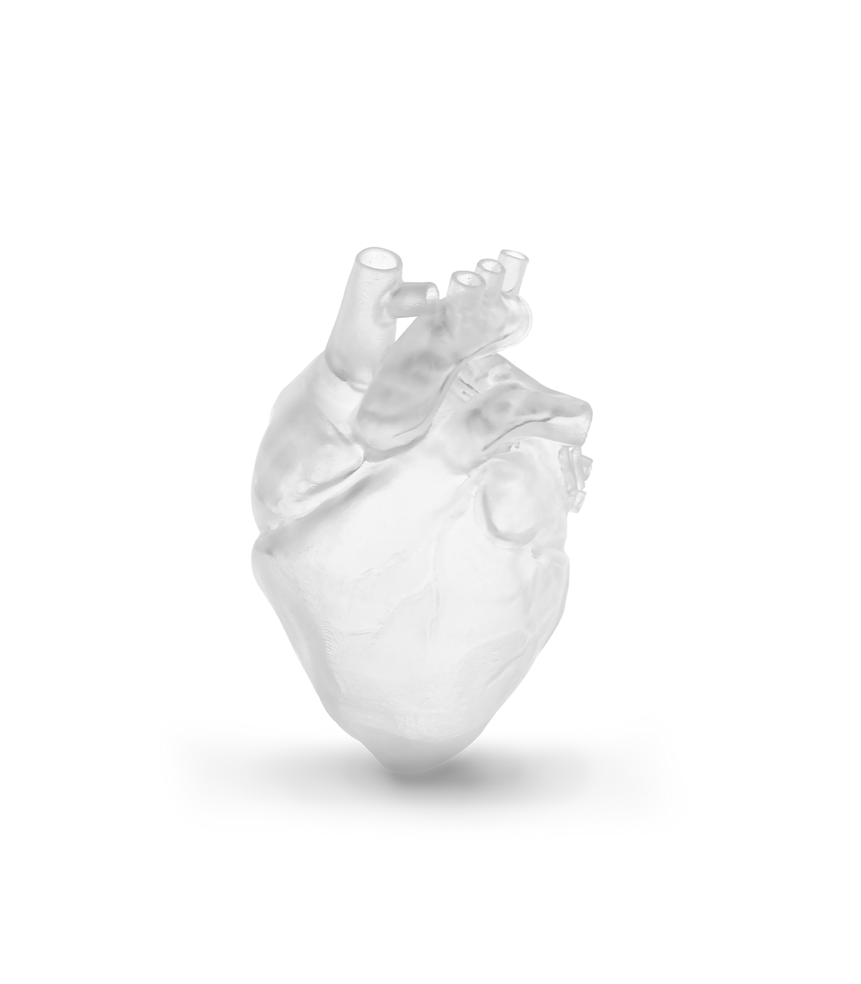 Phrozen 超透明樹脂