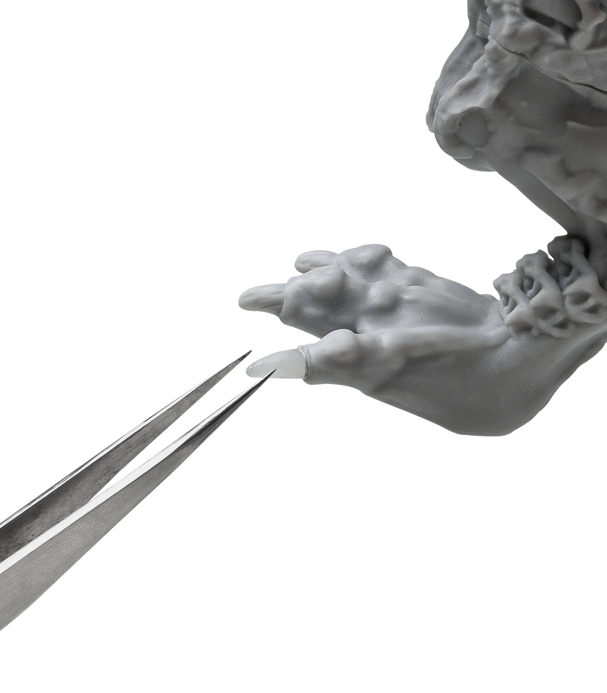 Phrozen 光固化 UV 黏土