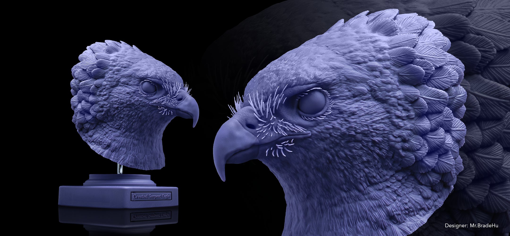 Banner (Desktop)